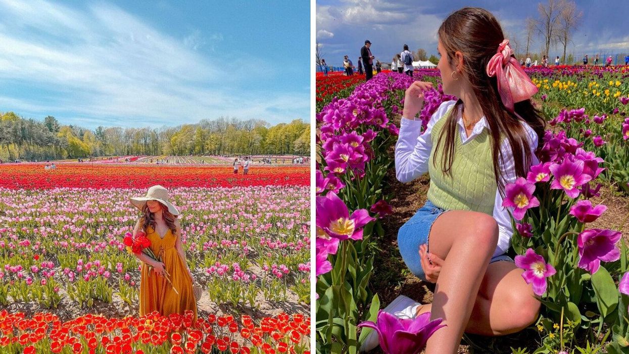 A person in a field of tulips.