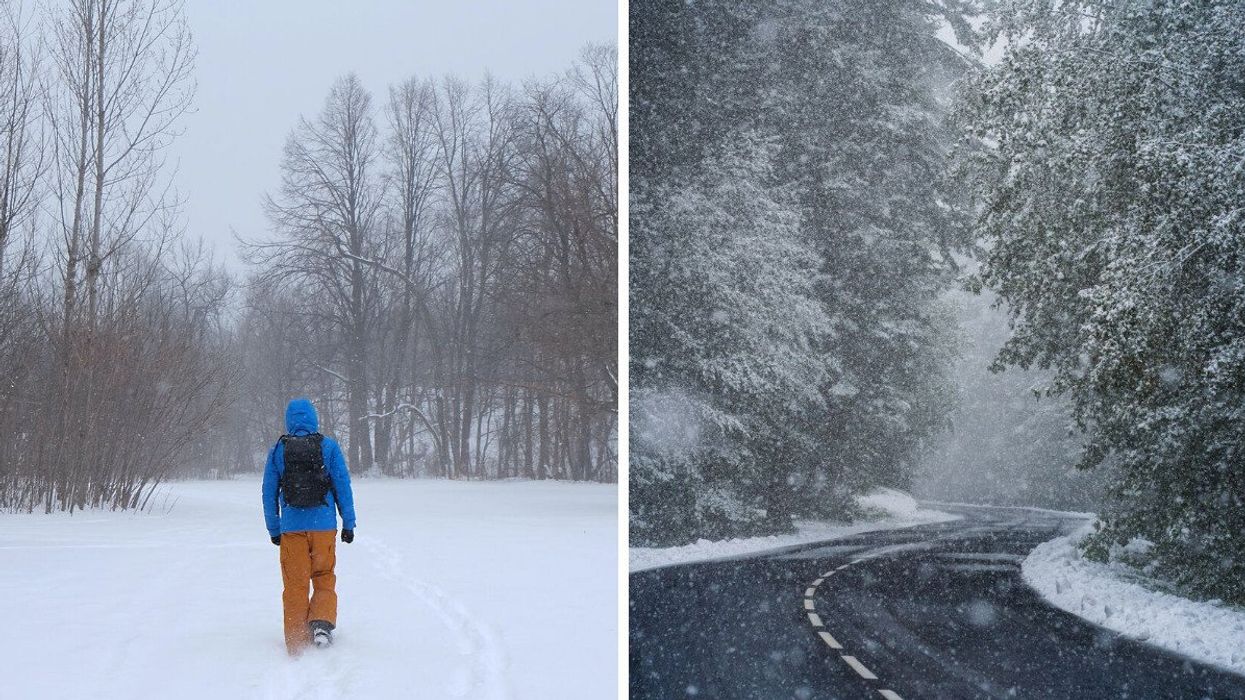 A person is seen walking through a field covered in snow. A tree-lined road is seen with snow falling.