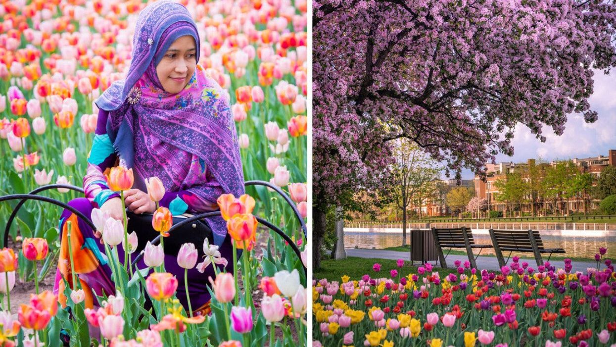 A person looking at tulips. Right: Flowers near a river.