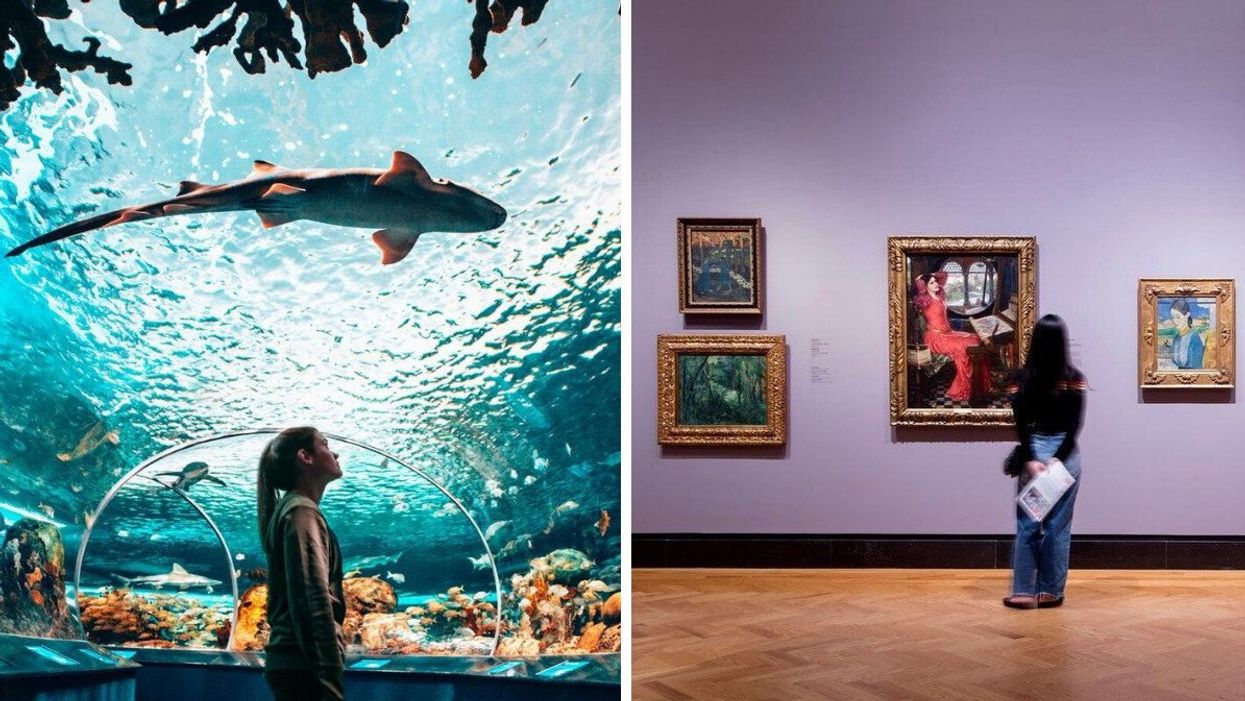 A person looks up at sharks at Ripley's Aquarium. Right: A person admires art at the Art Gallery of Ontario.