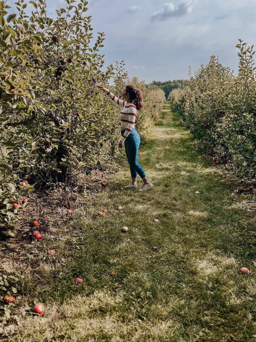A person picking apples.