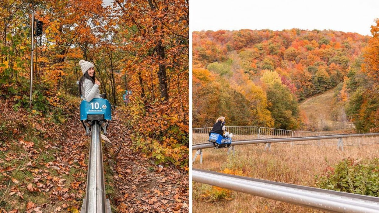 A person riding a mountain coaster.