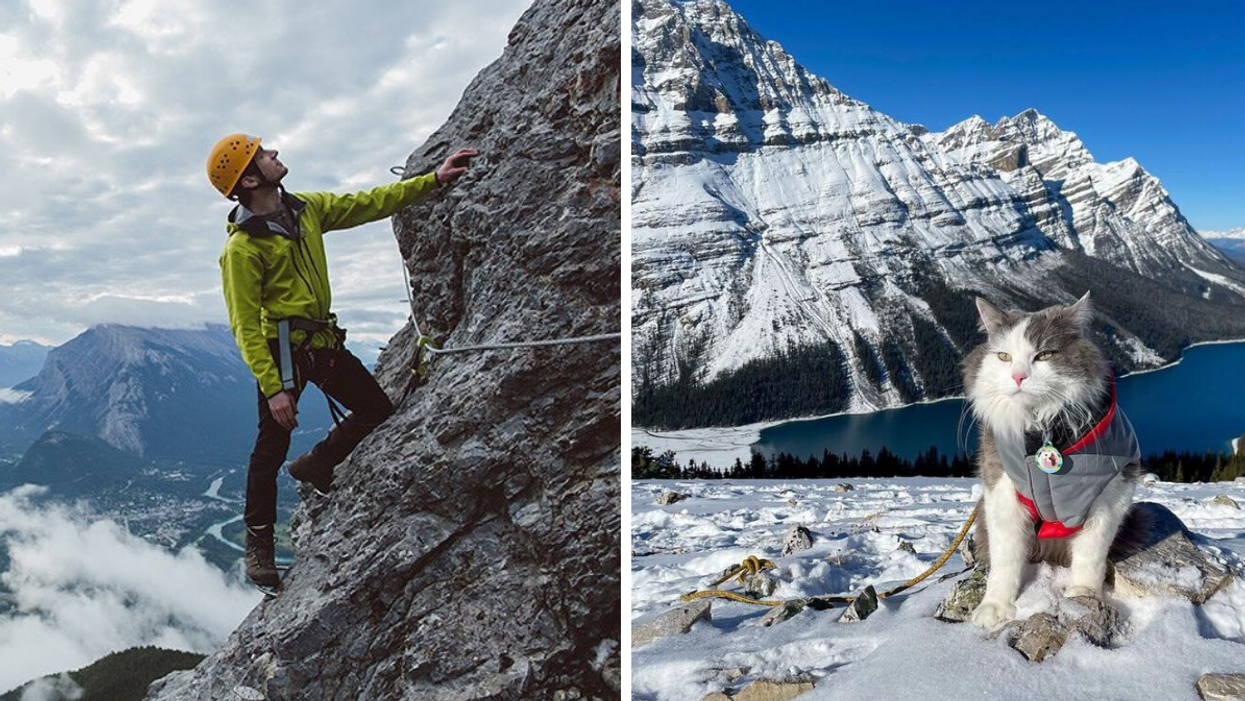 A person rock climbing in Banff National Park. Right: Gary the cat in Banff National Park.