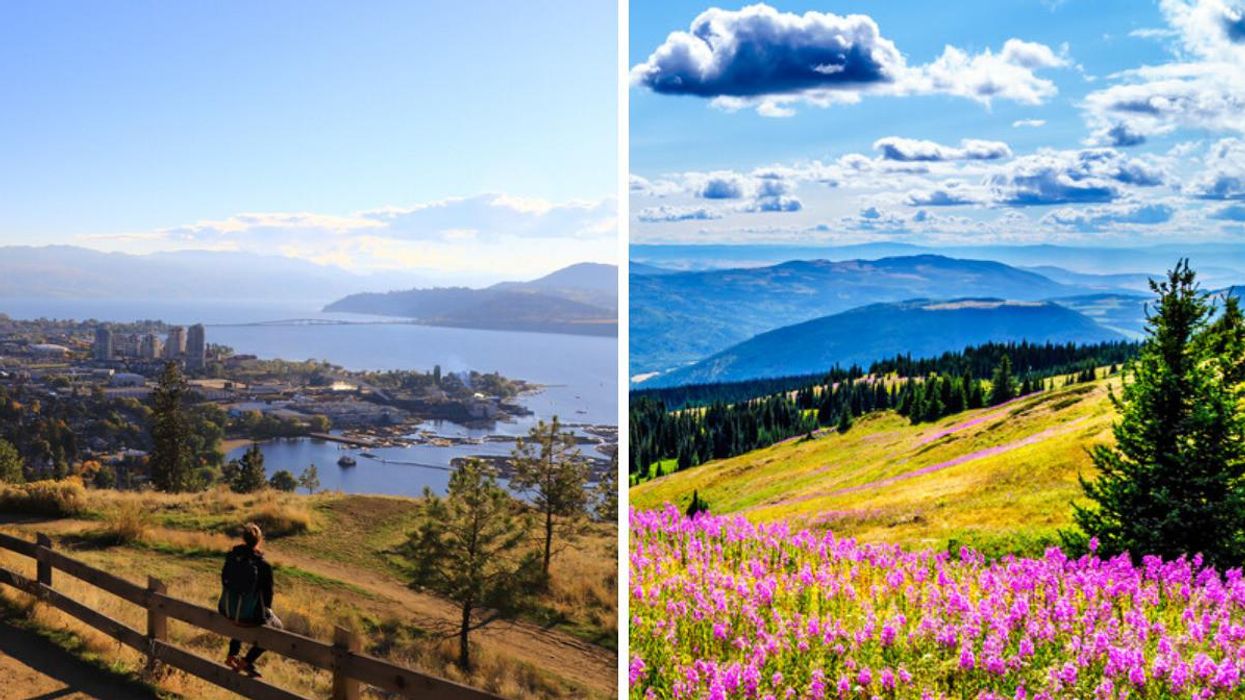 A person sitting at a viewpoint lookout in Kelowna, BC, right, flower field in Shuswap B.C.