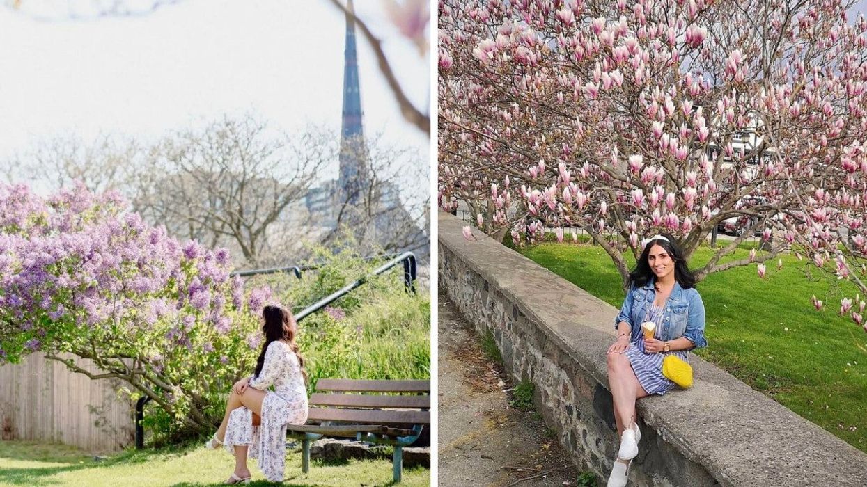 A person sitting by a lilac bush. Right: A person sitting on a stone wall.