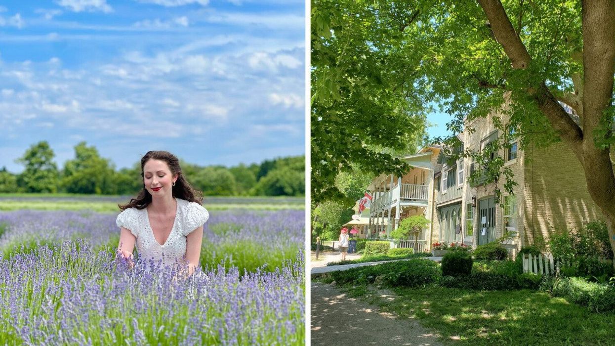 A person sitting in a lavender field. Right: A charming small town.