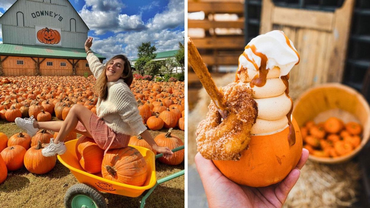 A person sitting in a wheelbarrow with pumpkins. Right: A hand holding ice cream in a pumpkin.