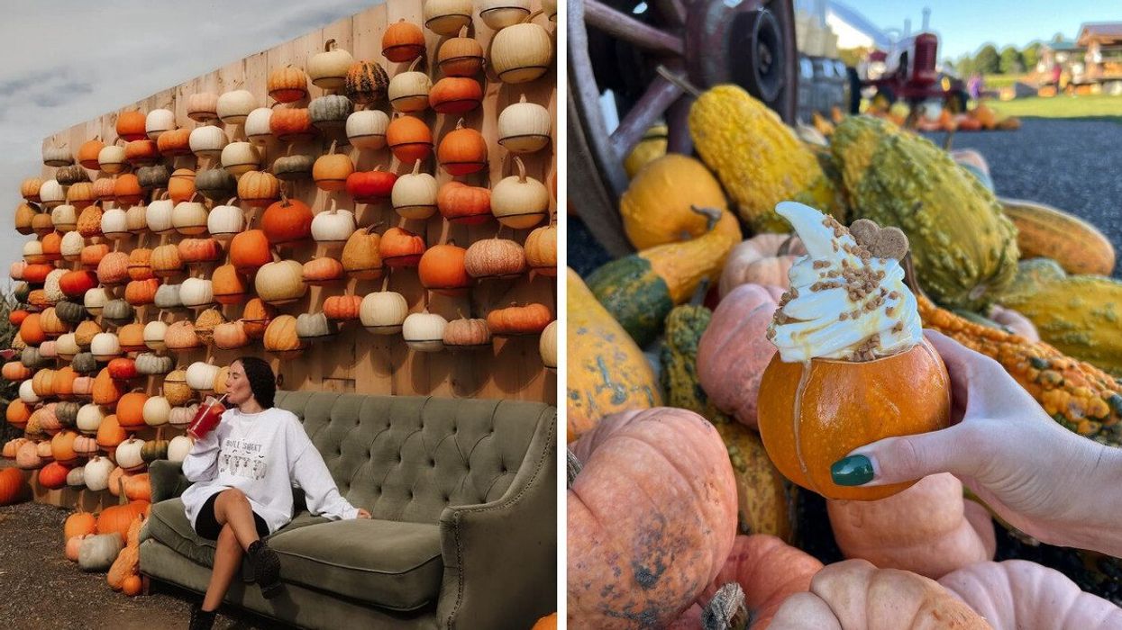 A person sitting on a coach in front of a pumpkin wall. Right: A hand holding ice cream in a pumpkin.