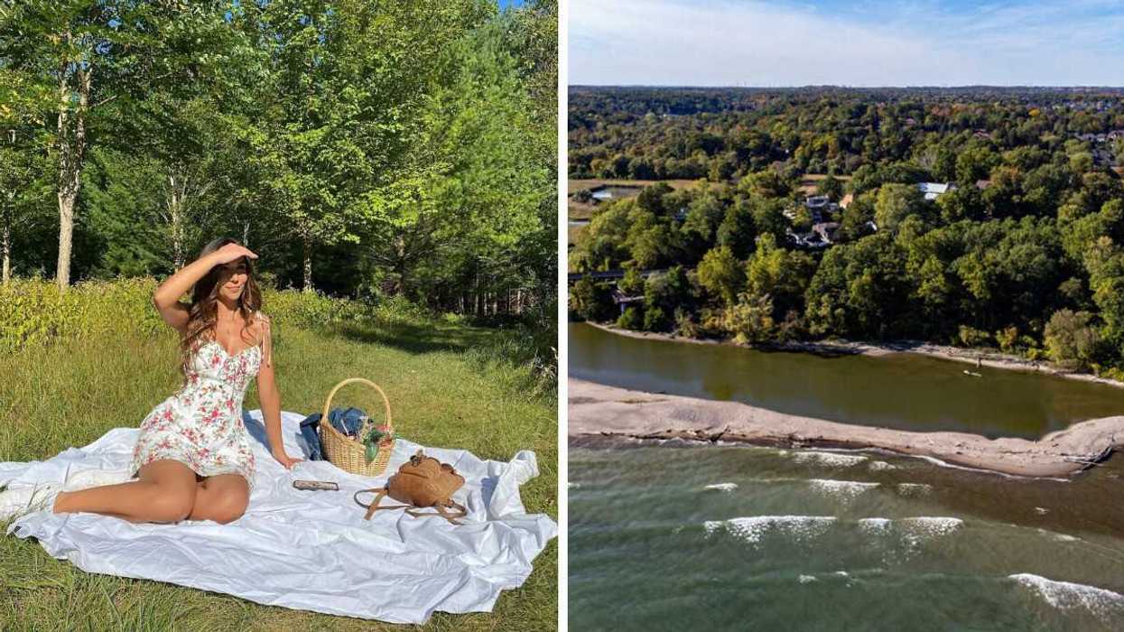 A person sitting on a picnic blanket. Right: A view of sandy shores and a forest.