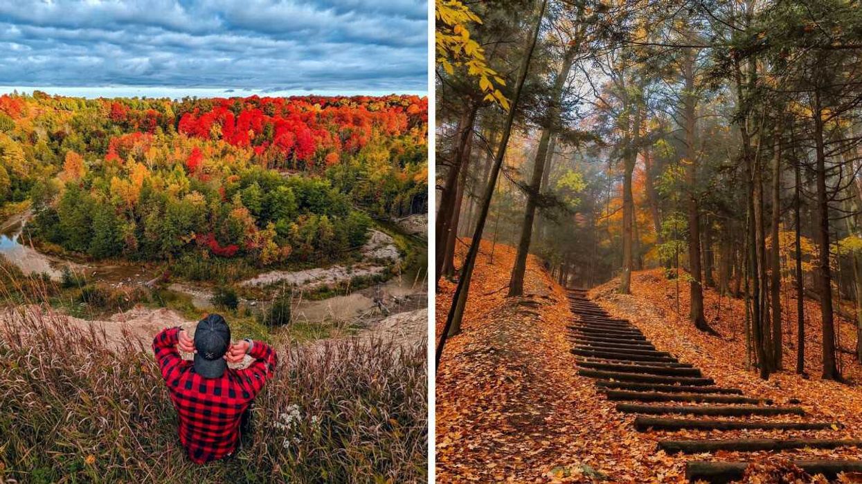 A person sitting overlooking fall colours. Right: A staircase through a forest.