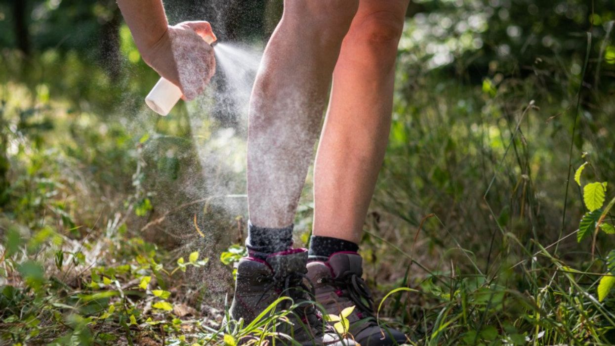 A person spraying mosquito repellant on their legs.