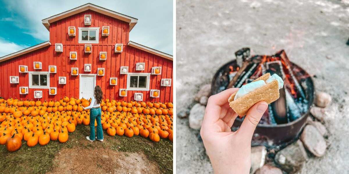 This fall farm near Toronto is a pumpkin paradise with cozy fire pits and endless activities, Life in canada This fall farm near Toronto is a pumpkin paradise with cozy fire pits and endless activities, Life in canada