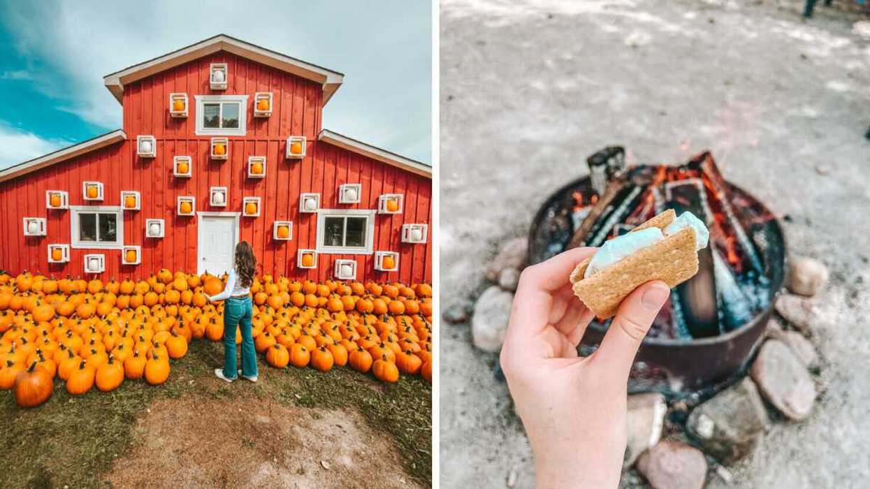 A person standing by a barn with pumpkins. Right: A hand holding a s'more.