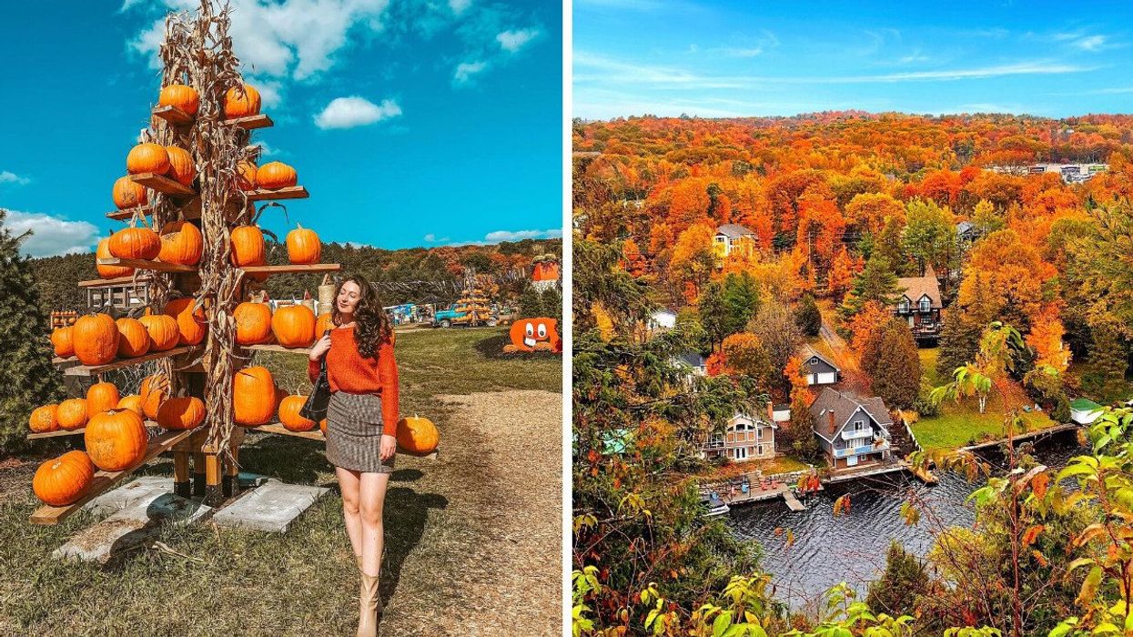 A person standing by a pumpkin stand. Right: A lookout over a town and fall colours.