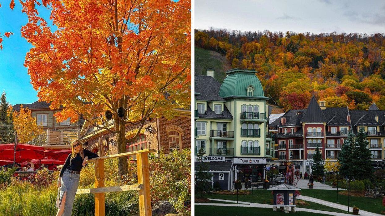 A person standing by a tree during the fall. Right: A village surrounded by fall colours.