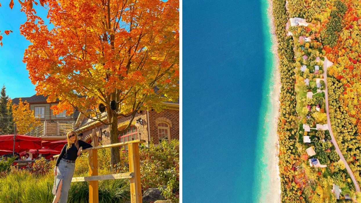 A person standing by a tree during the fall. Right: An aerial view of a shoreline during the fall.