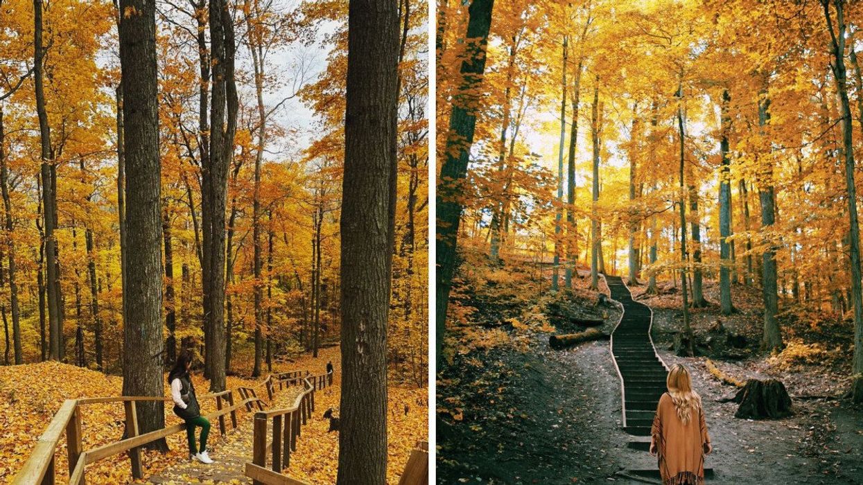 A person standing by a woodland staircase.