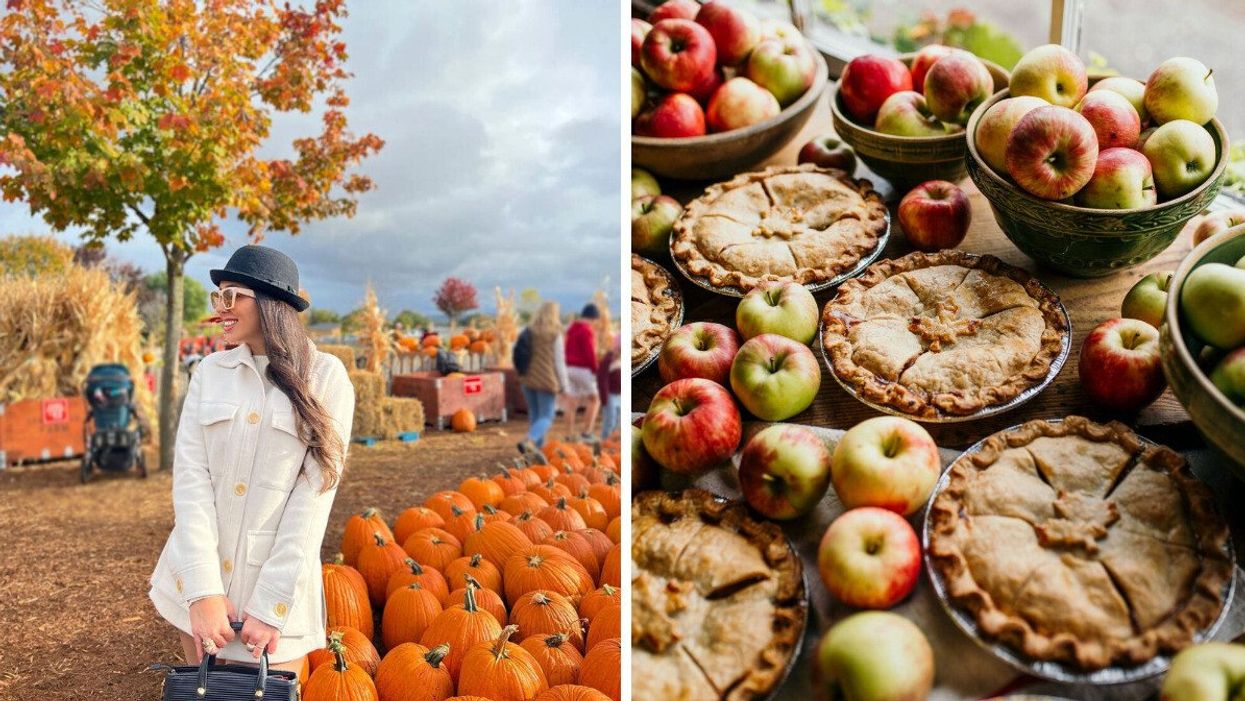 A person standing by pumpkins. Right: A table of pies and apples.