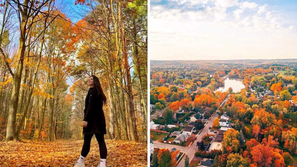 A person standing in a forest. Right: A town with fall colours.