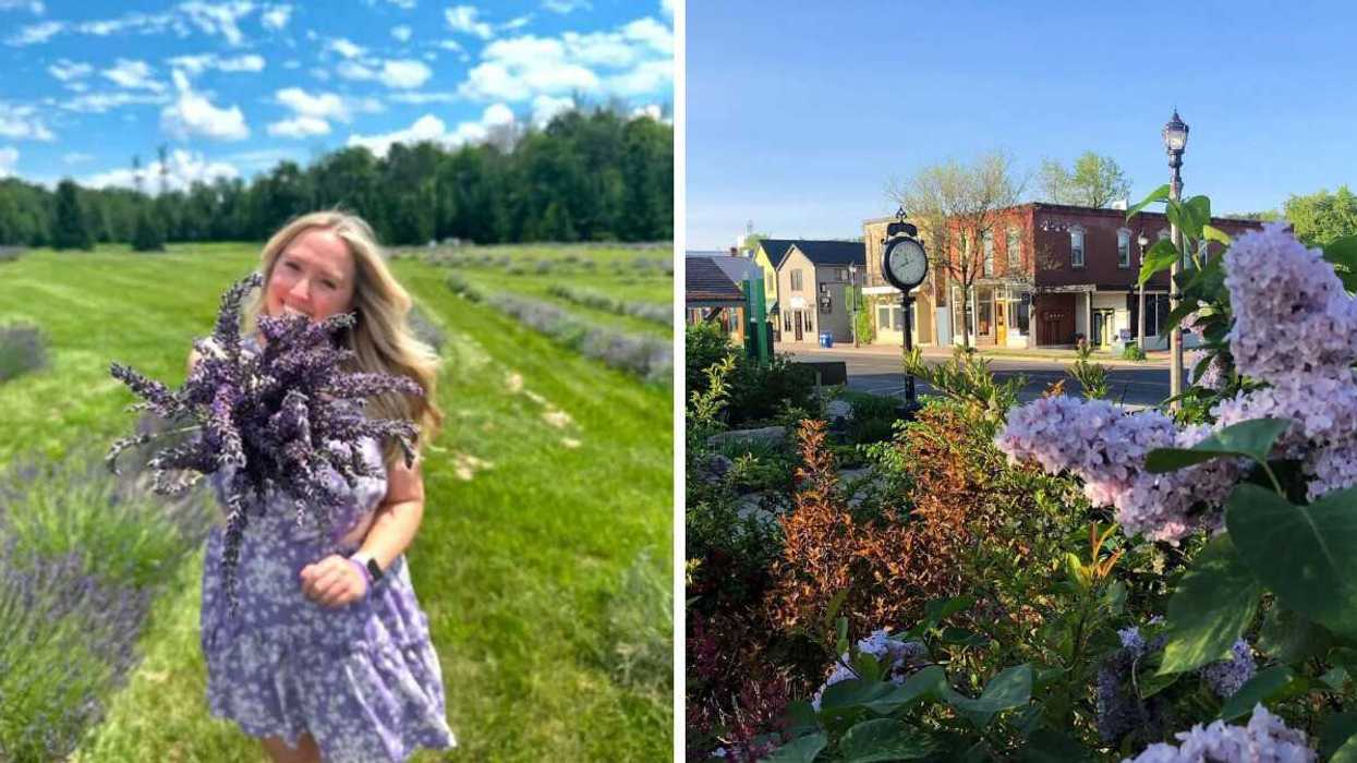 A person standing in a lavender field. RIght: A small town.