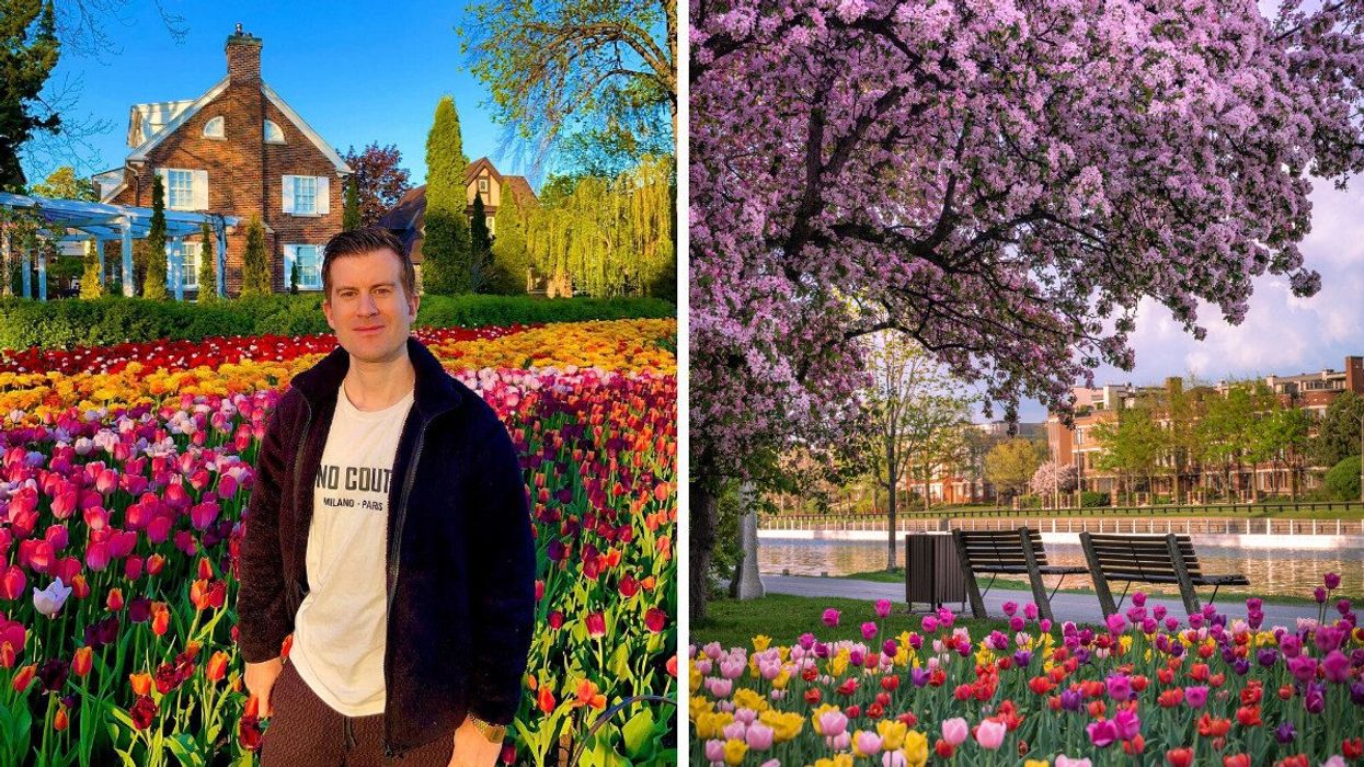 A person standing in a tulip garden. Right: Tulips by a canal.