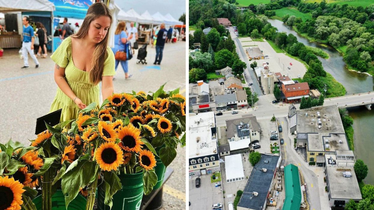 A person standing in front of sunflowers. Right: An aerial view of a town.
