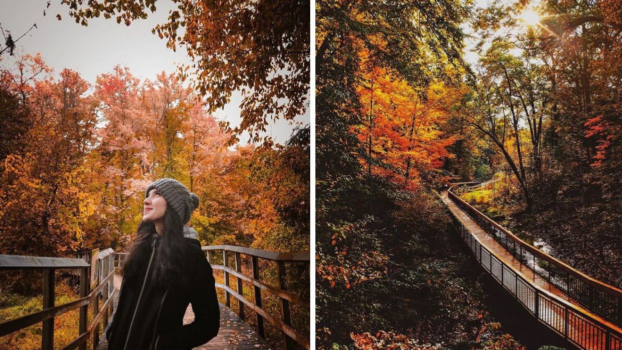 A person standing on a boardwalk trail. Right: A boardwalk trail.