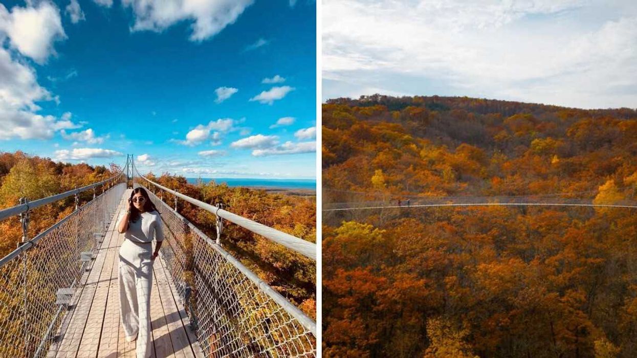 A person standing on a bridge. Right: A bridge surrounded by fall colours.