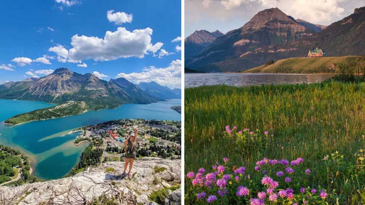 A person standing on a rock overlooking mountains. Right: Flowers by mountains and a lake.