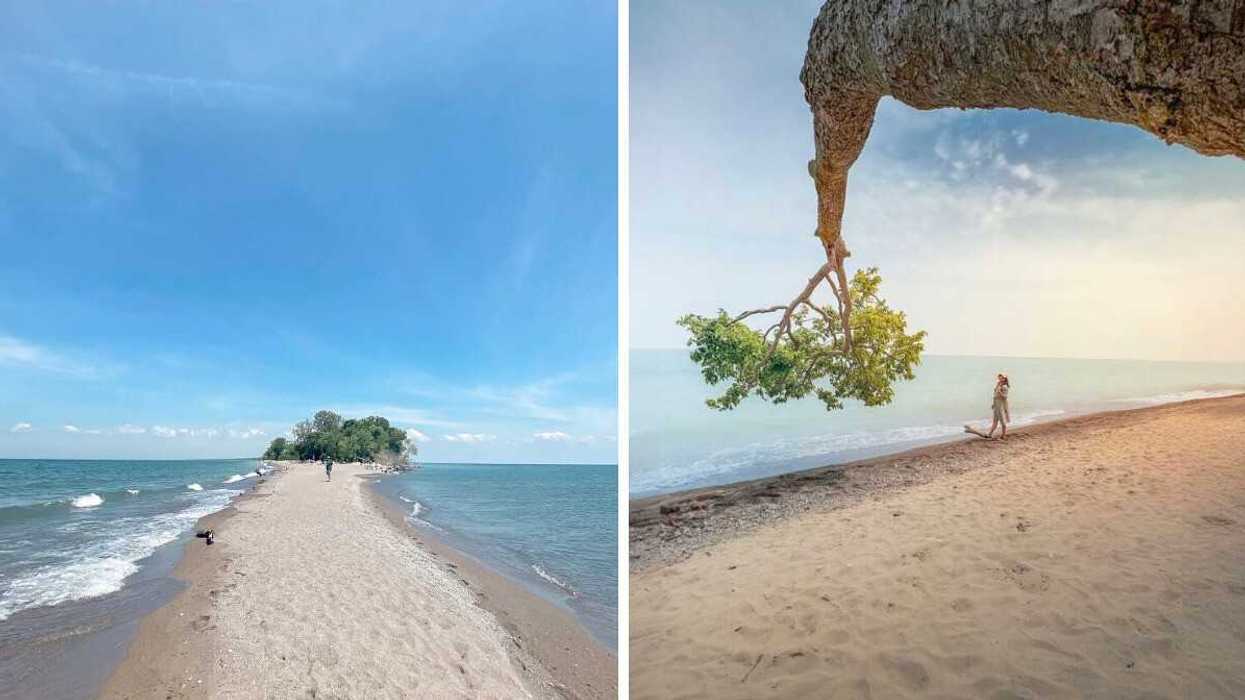 A person standing on a sandy beach.