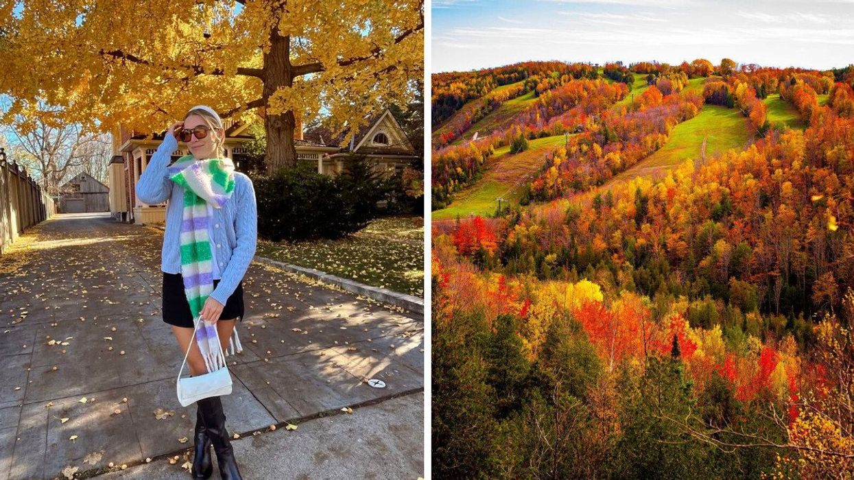 A person standing on a street during autumn. Right: Fall foliage.