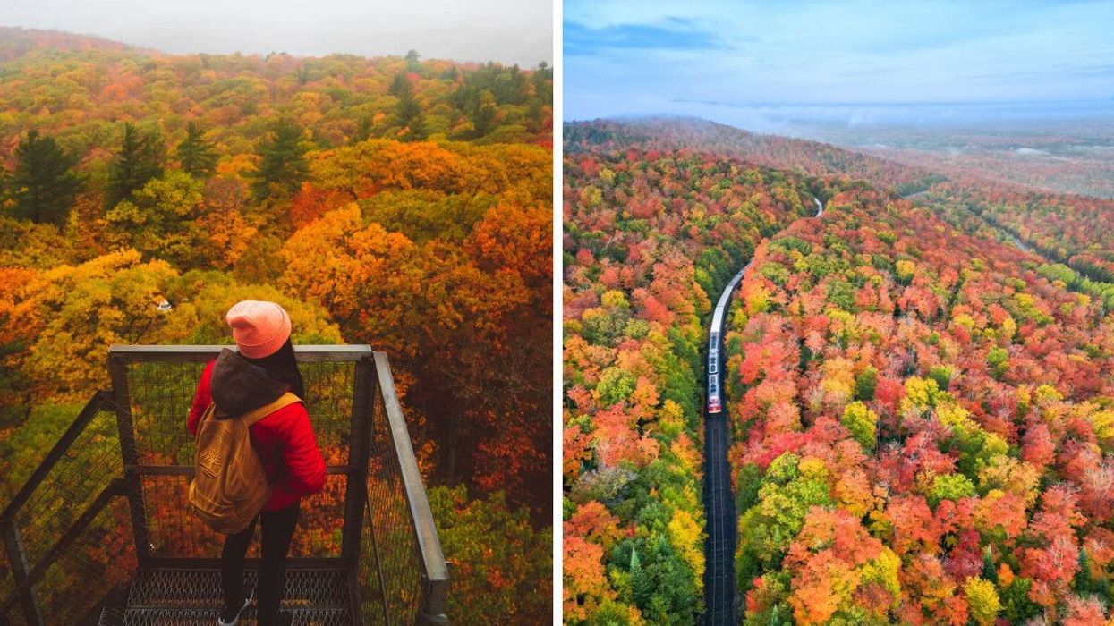A person standing on a tower overlooking fall colours. Right: A train driving through fall colours.
