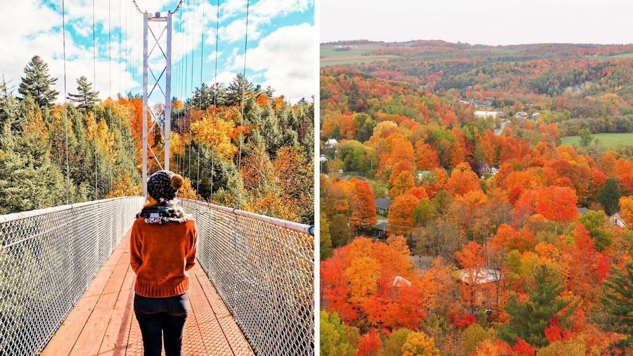 A person stands on a suspension bridge in Coaticook, Quebec. Right: Trees changing colour in the Coaticook Gorge.