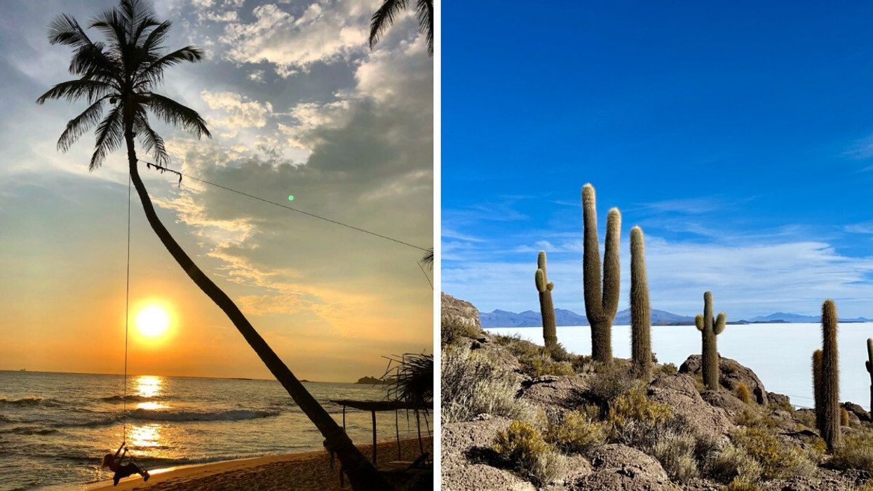 A person swings from a curved palm tree at sunset on a Sri Lankan beach. Right: Tall cacti rise over Bolivia's Uyuni Salt Flat under a bright blue sky.