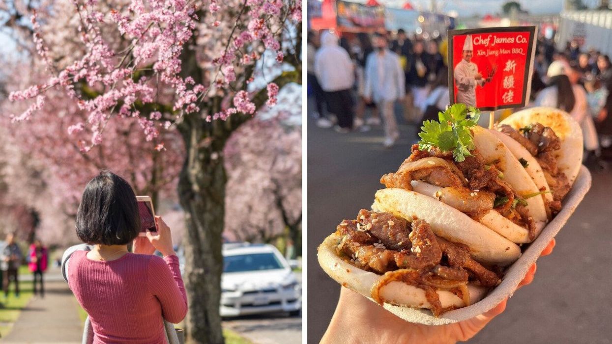 A person taking a photo of cherry blossoms with their cellphone. Right: A hand holding up a plate of rolls with meat inside.