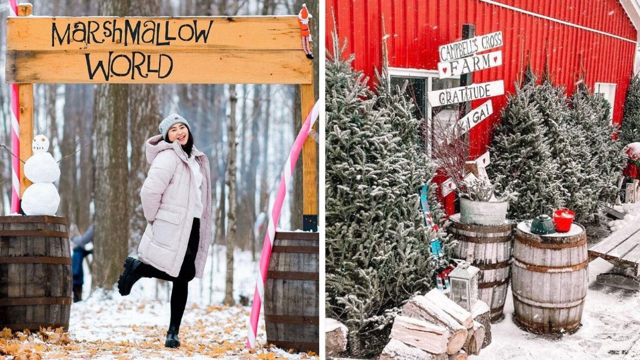 A person under a 'Marshmallow World' sign. Right: Campbell's Cross Farm.