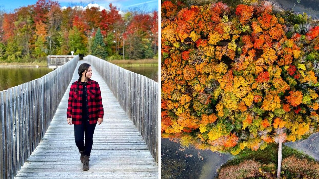 A person walking across a boardwalk. Right: An aerial view of a boardwalk and fall colours.