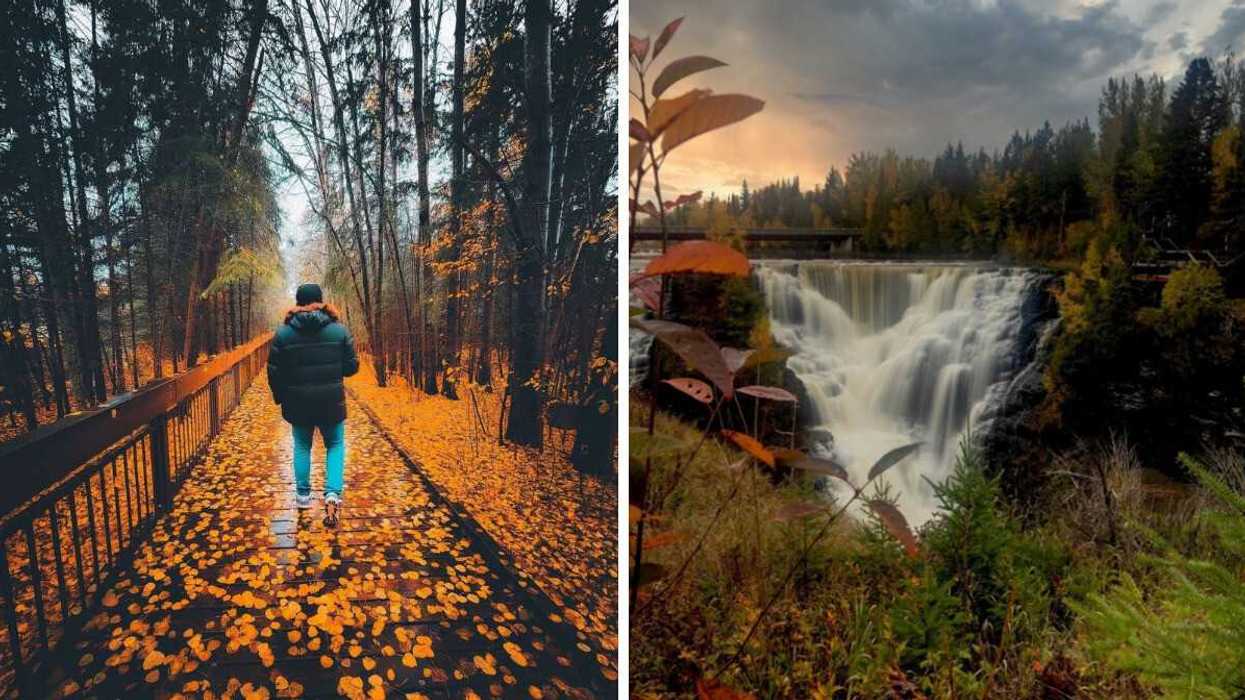 A person walking along a leafy boardwalk. Right: A waterfall during the fall.