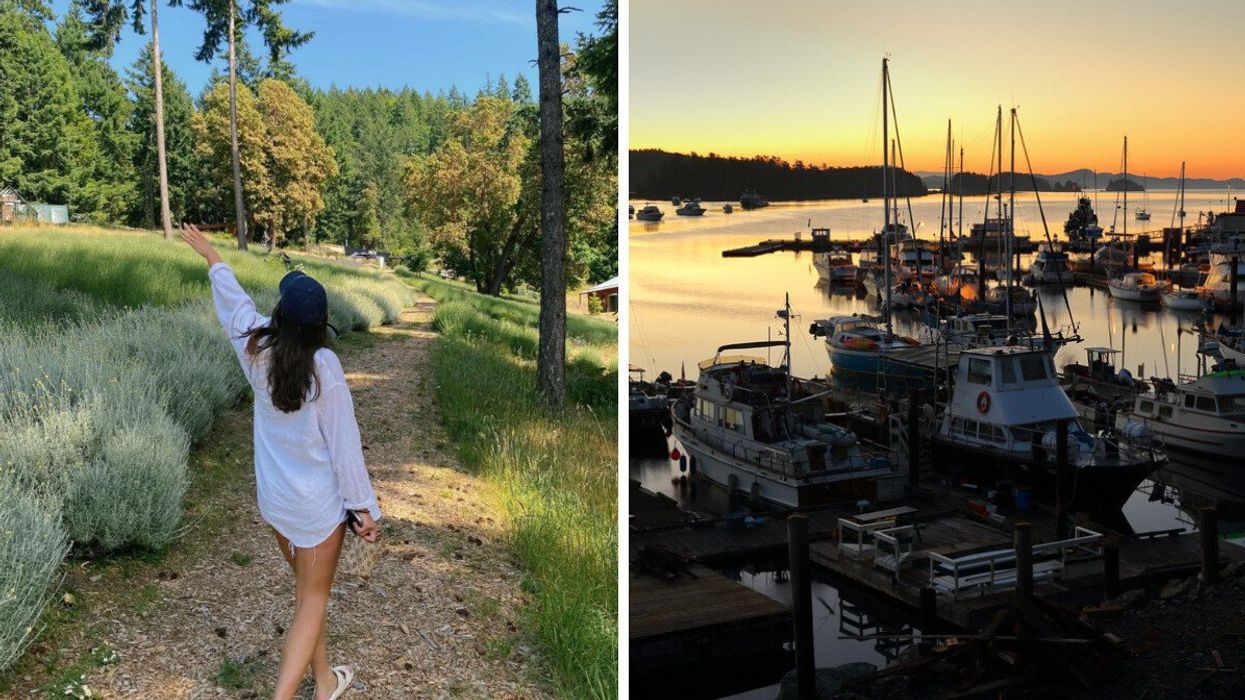 A person walking in a lavender feild. Right: A harbour with boats.