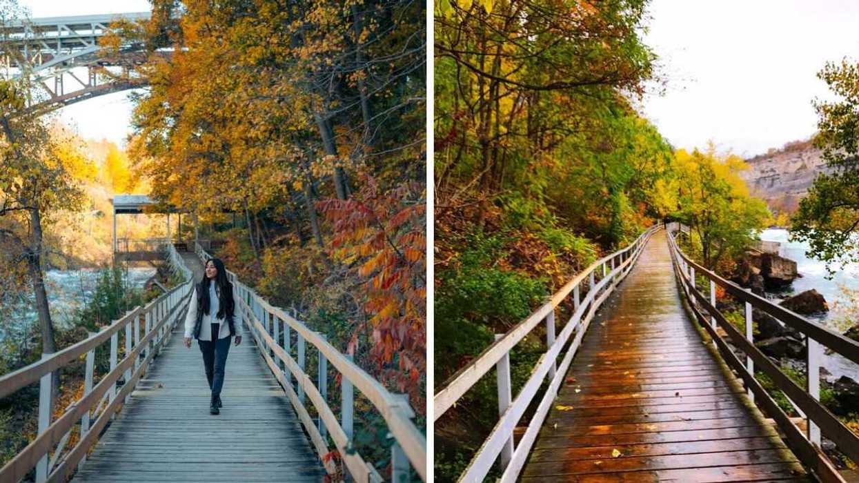 A person walking on a scenic boardwalk during the fall. Right: A boardwalk surrounded by fall colours.