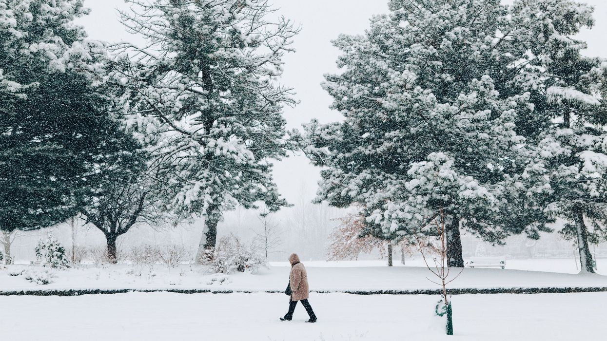A person walks past snow covered trees in a park.