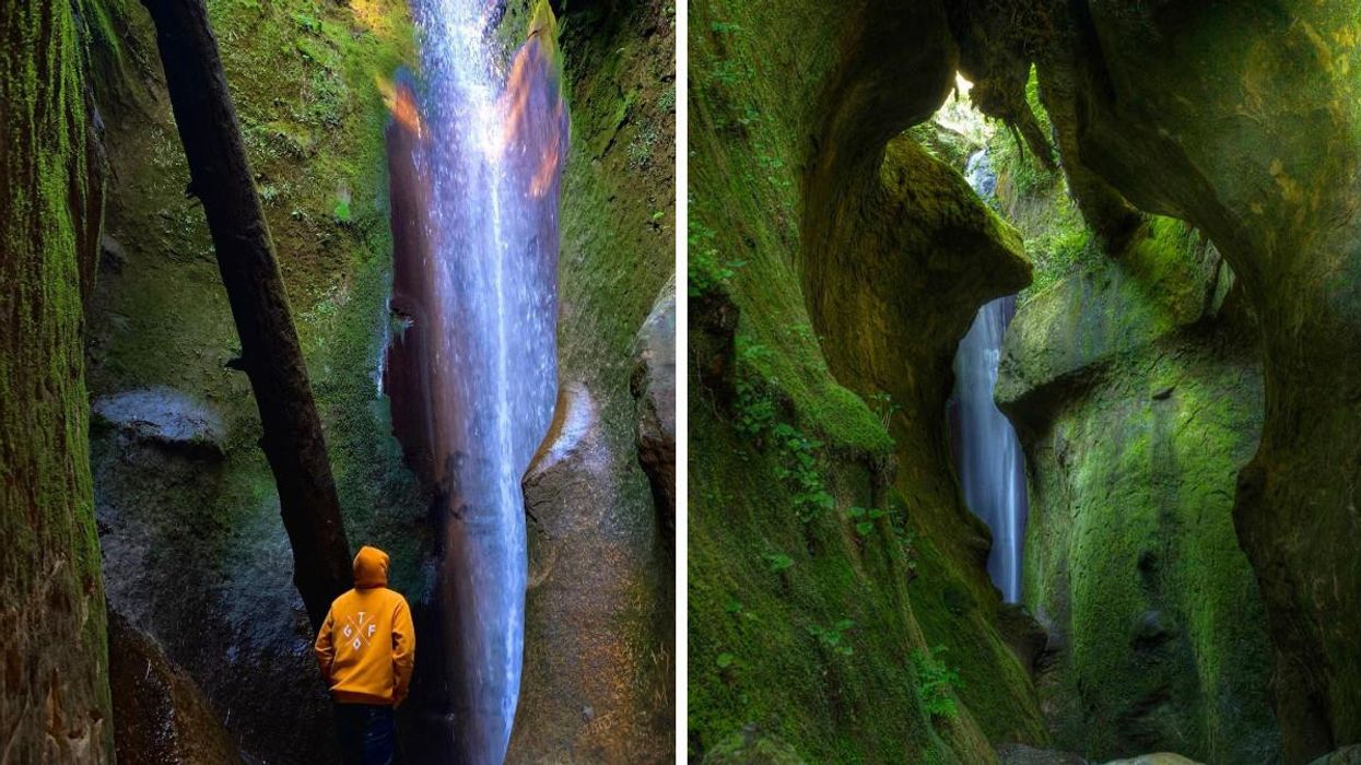 A person wearing a bright hoodie standing in front of the waterfall. Right: Green moss on the rocks surrounding the waterfall.