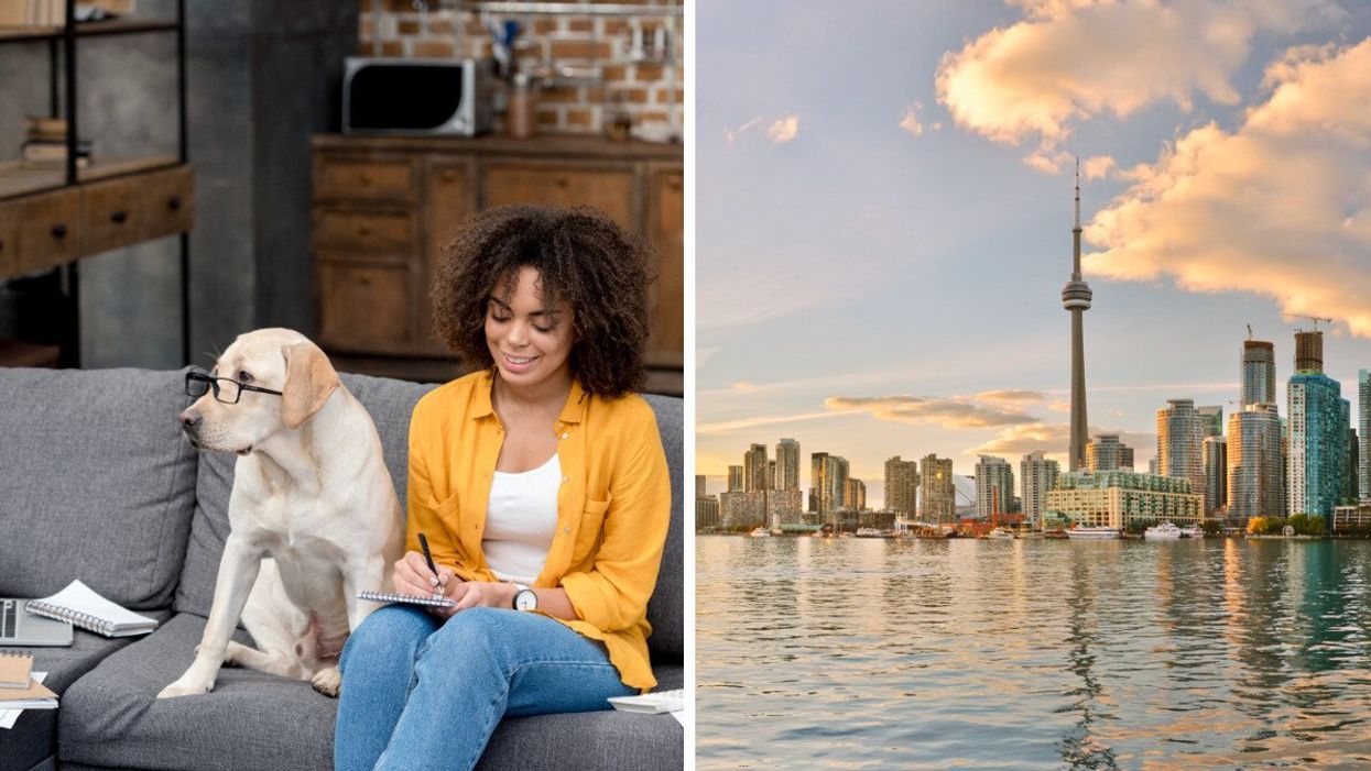 A person working at home with a dog. Right: Toronto's skyline.