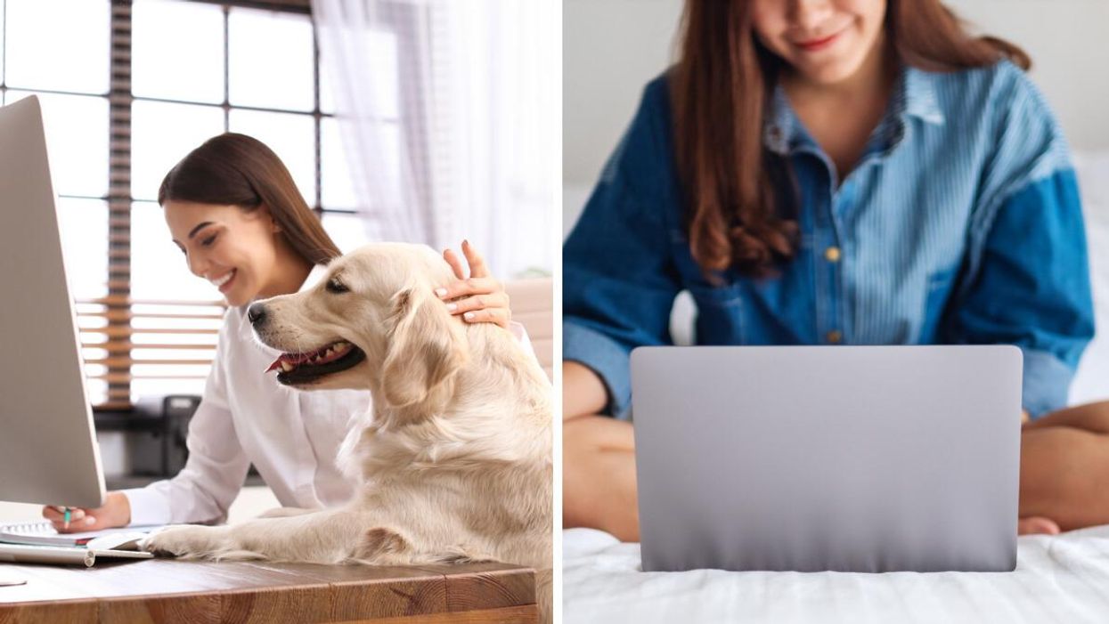 A person working from home with a dog. Right: A person working on a laptop from bed.