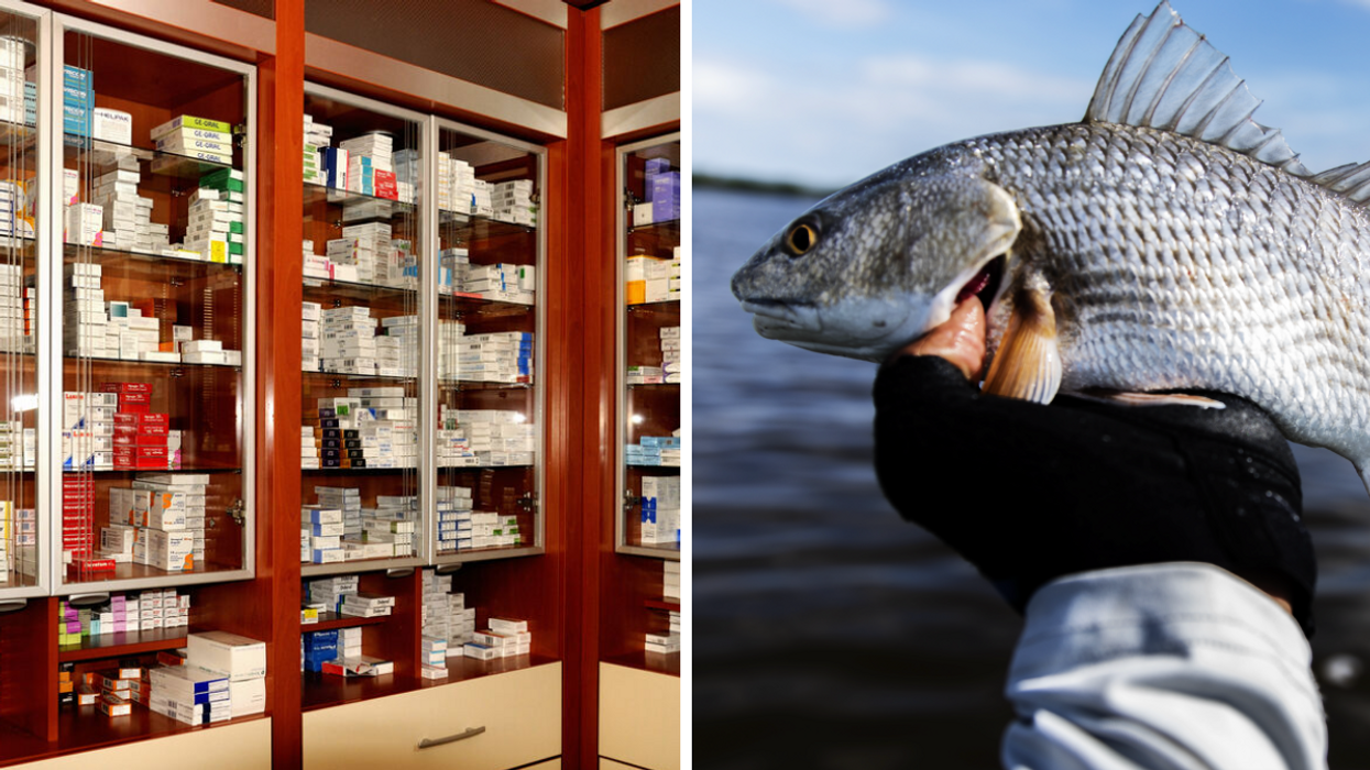 A pharmacy. Right: A redfish.