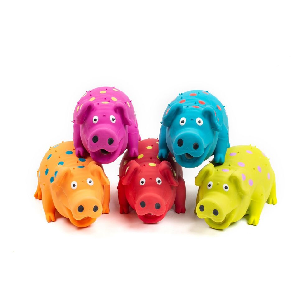 A photo of Pigglesworth Latex Dog Toys.