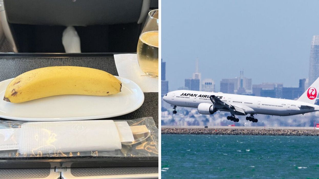 A photo of the airline passenger's vegan meal during their flight. Right: A Japan Airlines plane.