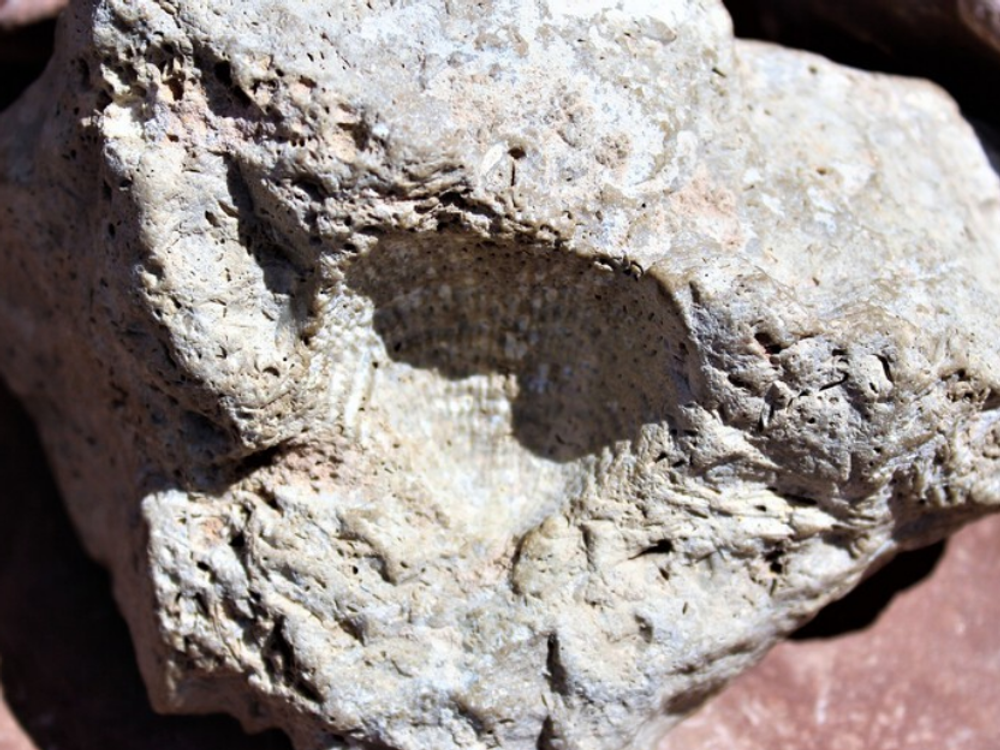 A Meteorite Crashed Over The US And Canada & There's A $25K Reward If You Find A Piece Of It - Narcity