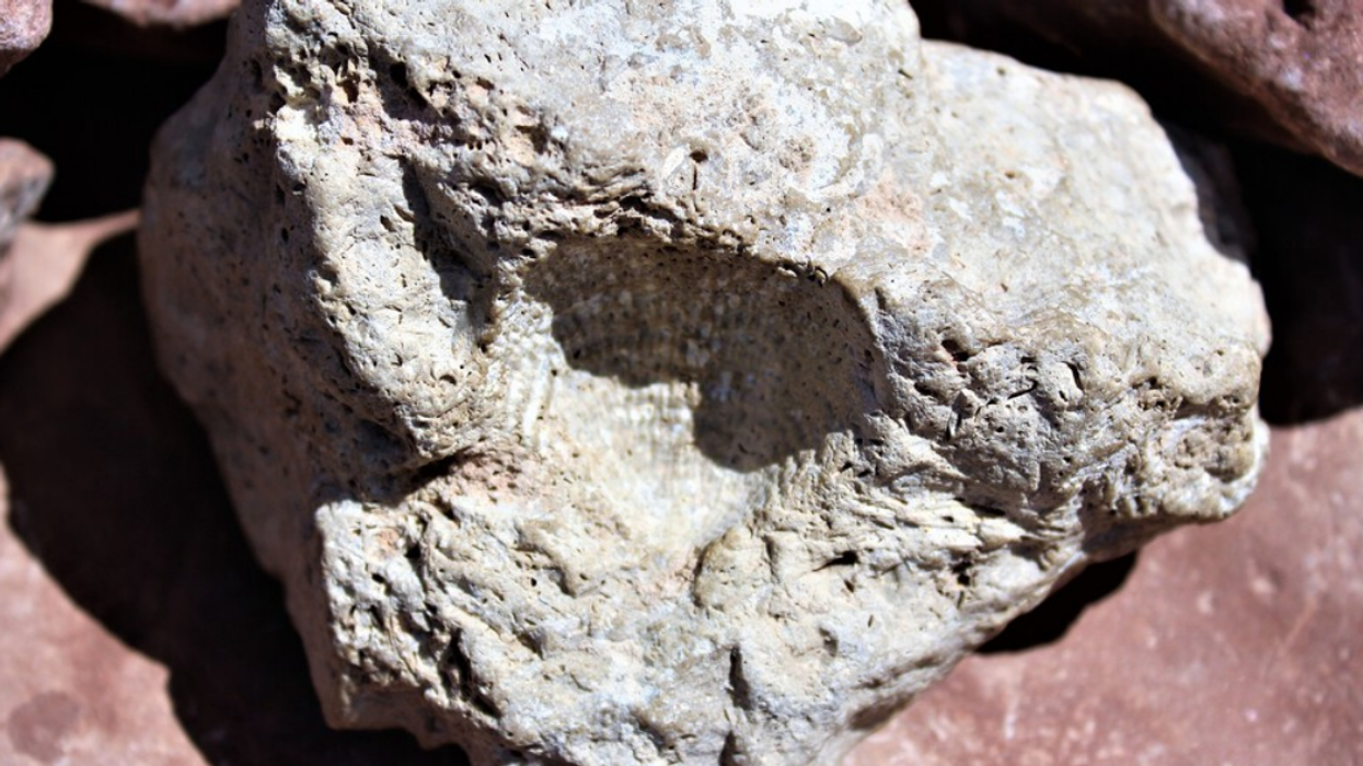 A piece of a meteorite.