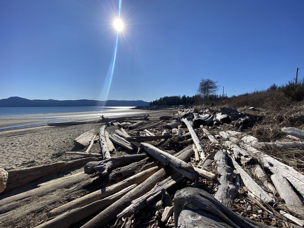 A pile of wood on the beach of the property for sale in B.C..